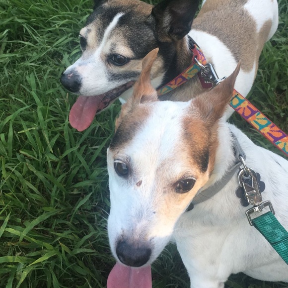 Meet your Posher, Kelly - Picture 4 of 4